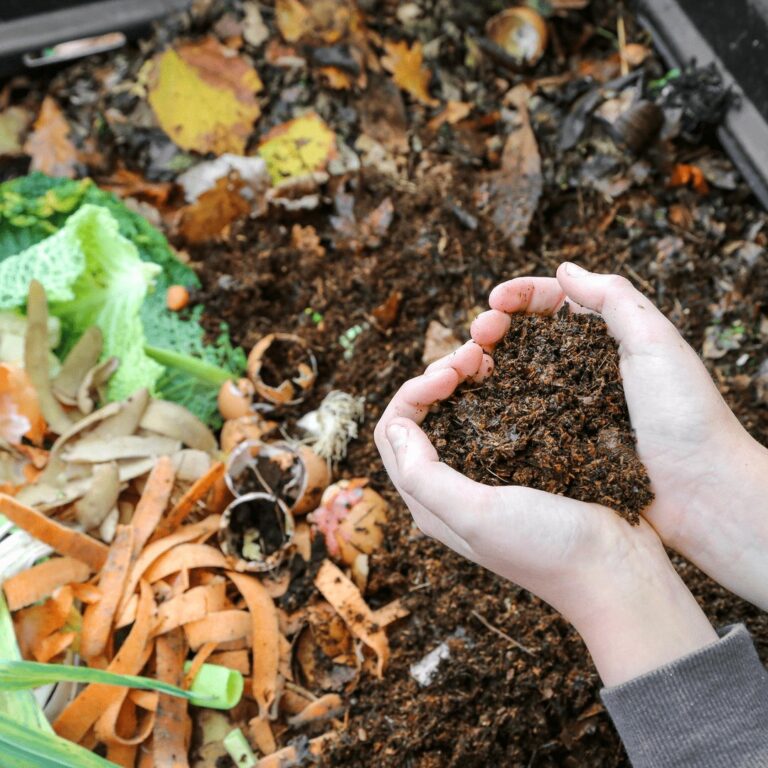 organic compost